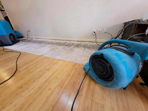 Professional Water Damage Repair technician working in Riverview, MO